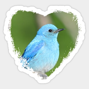 Mountain Bluebird Heart Sticker